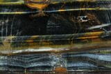 Polished Blue Tiger's Eye Section - South Africa #128482-1